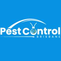 Silverfish Control Brisbane image 1